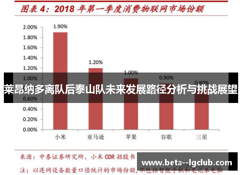 莱昂纳多离队后泰山队未来发展路径分析与挑战展望