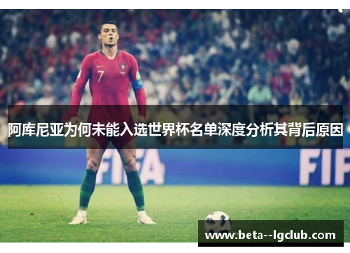 阿库尼亚为何未能入选世界杯名单深度分析其背后原因