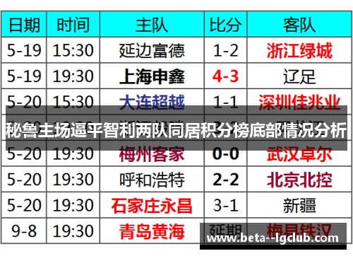 秘鲁主场逼平智利两队同居积分榜底部情况分析 秘鲁主场逼平智利两队同居积分榜底部情况分析