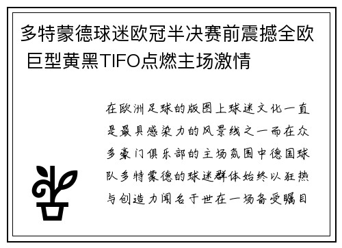 多特蒙德球迷欧冠半决赛前震撼全欧 巨型黄黑TIFO点燃主场激情 多特蒙德球迷欧冠半决赛前震撼全欧 巨型黄黑TIFO点燃主场激情